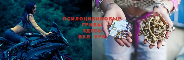 меф VHQ Богданович