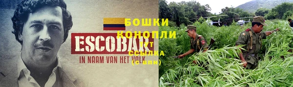 каннабис Белокуриха