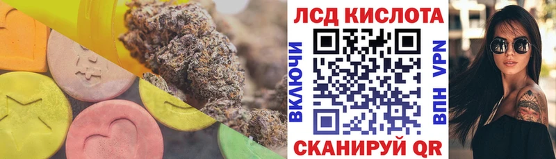kraken рабочий сайт  Данилов  Лсд 25 экстази ecstasy 