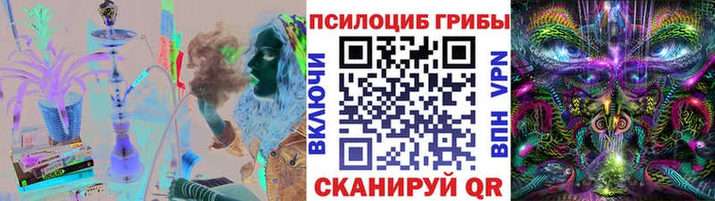 наркотики  Данилов  Галлюциногенные грибы GOLDEN TEACHER 